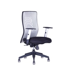 Kancelářská židle CALYPSO XL BP, šedá