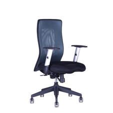 Kancelářská židle CALYPSO XL BP, antracit