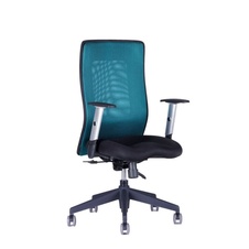 Kancelářská židle CALYPSO GRAND bez podhlavníku, zelená