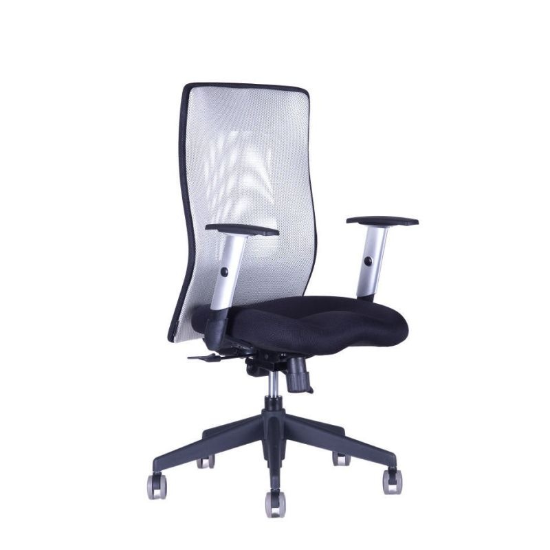Kancelářská židle CALYPSO GRAND bez podhlavníku, šedá