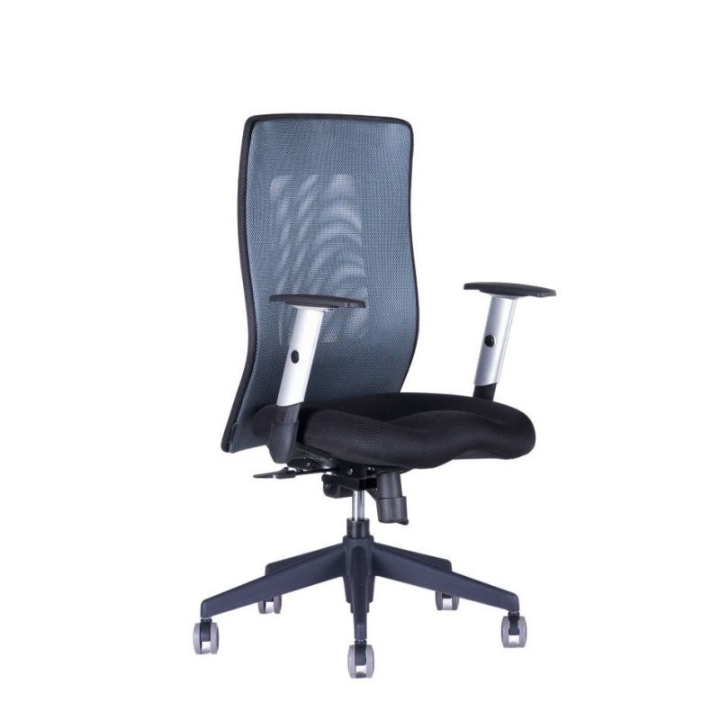 Kancelářská židle CALYPSO GRAND bez podhlavníku, antracit