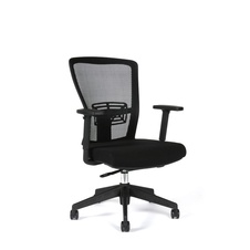 Kancelářská židle Themis bez podhlavníku, černá