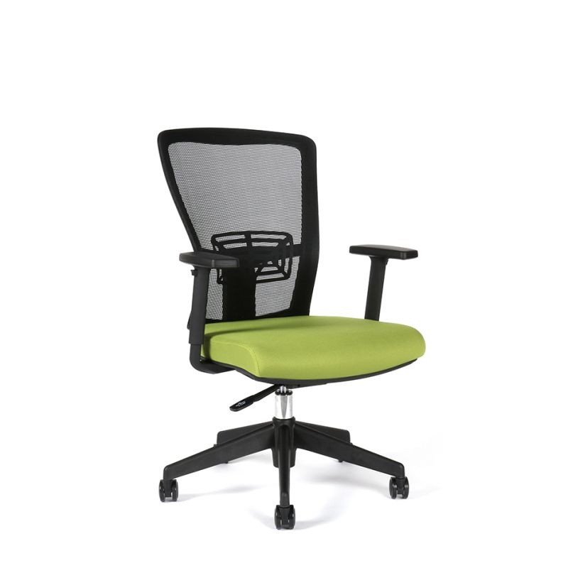 Kancelářská židle Themis bez podhlavníku, zelená