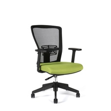 Kancelářská židle Themis bez podhlavníku, zelená