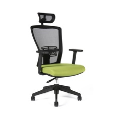 Kancelářská židle Themis s podhlavníkem, zelená