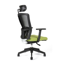 Kancelářská židle Themis s podhlavníkem, zelená