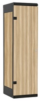 TRITON šatní skříň 1-dveřová kov-lamino T1525, černá - jasan Blonde Surfside