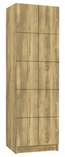 TRITON šatní skříň lamino s 10 boxy T1970, dekor dub Baroque Gold