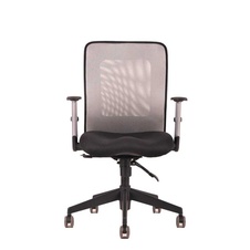 Kancelářská židle CALYPSO, šedá