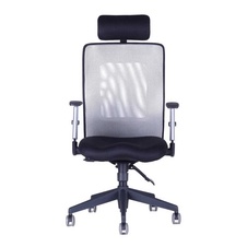 Kancelářská židle CALYPSO XL, stavitelný podhlavník, šedá